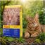 غذای خشک گربه جوسرا دیلی کت 1 کیلوگرم Josera Dailycat