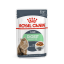 غذای پوچ گربه رویال کنین دایجستیو 85گرم RoyalCanin Digestive