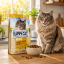 غذای خشک گربه هپی کت مینکاس هربال کنترل 2 کیلوگرم Happy Cat Food