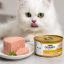 کنسرو گربه گورمت طعم گوشت گاو 85 گرم Gourmet Canned