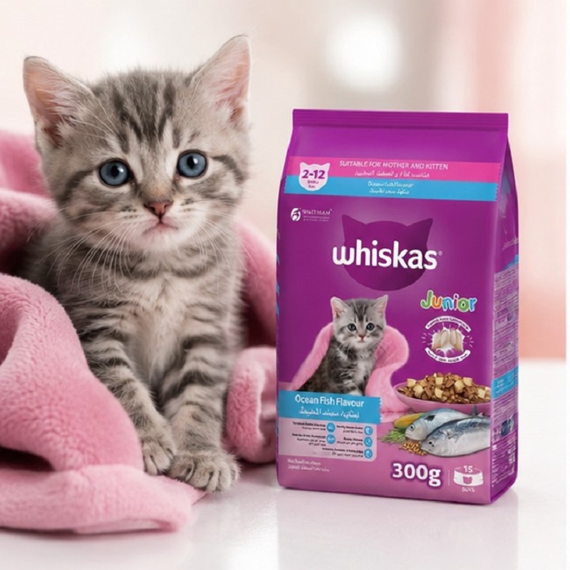 غذای خشک بچه گربه با طعم ماهی ویسکاس 300 گرم Whiskas Food