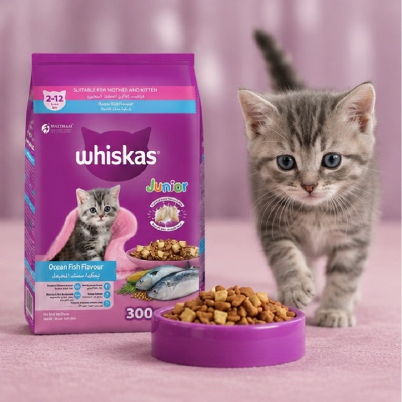 غذای خشک بچه گربه با طعم ماهی ویسکاس 300 گرم Whiskas Food