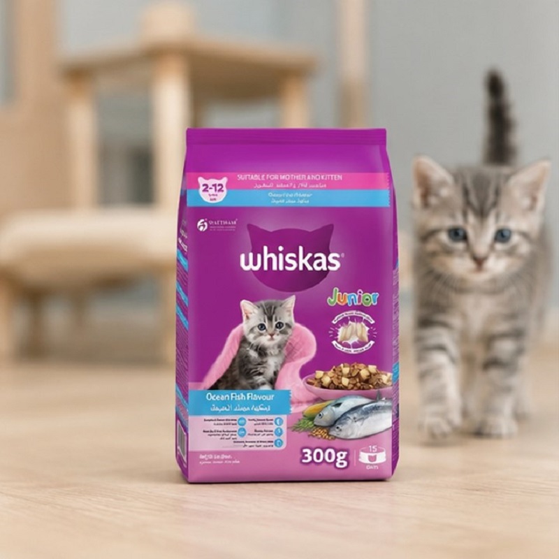 غذای خشک بچه گربه با طعم ماهی ویسکاس 300 گرم Whiskas Food