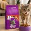 غذای خشک گربه ویسکاس با طعم گوشت 500 گرم Whiskas Food