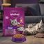 غذای خشک گربه بالغ با طعم ماهی ویسکاس 300 گرم Whiskas Food