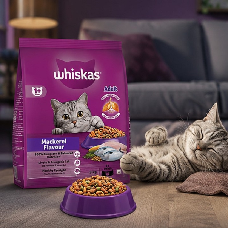 غذای خشک گربه بالغ با طعم ماهی ویسکاس 300 گرم Whiskas Food