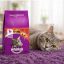 غذای خشک گربه ویسکاس با طعم گوشت 500 گرم Whiskas Food