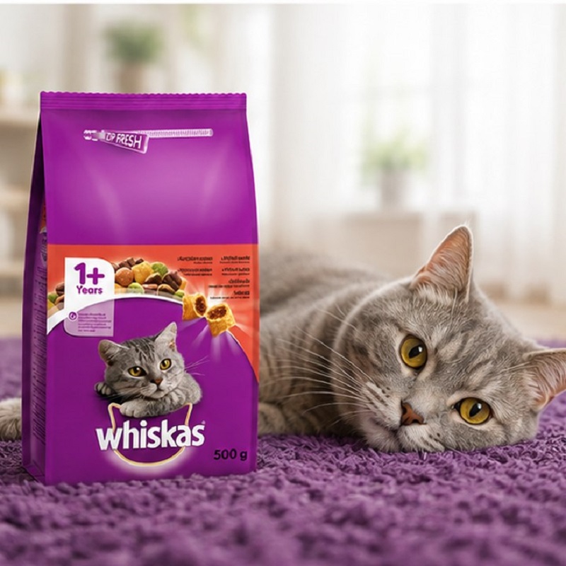 غذای خشک گربه ویسکاس با طعم گوشت 500 گرم Whiskas Food