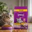 غذای خشک گربه بالغ با طعم مرغ ویسکاس 300 گرم Whiskas Food