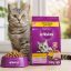 غذا خشک گربه بالغ با طعم مرغ ویسکاس 500 گرم Whiskas Food