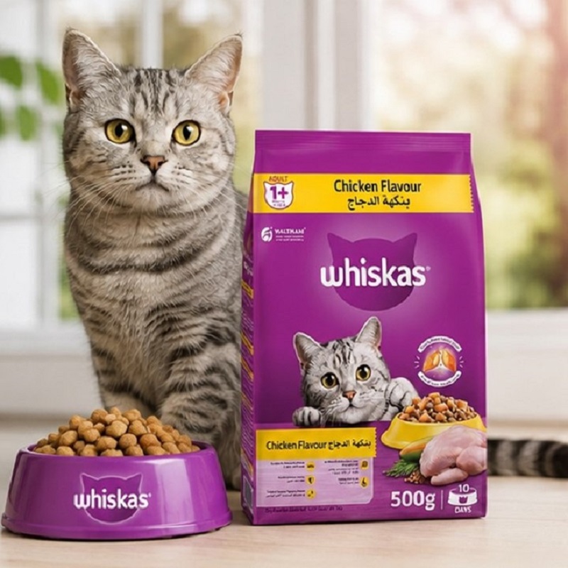 غذا خشک گربه بالغ با طعم مرغ ویسکاس 500 گرم Whiskas Food
