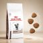 غذای خشک گربه هپاتیک رویال کنین 1 کیلوگرم RoyalCanin Food