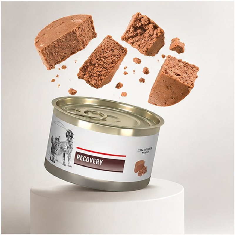 کنسرو ریکاوری سگ و گربه رویال کنین 195 گرم Royal Canin Canned