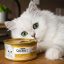 کنسرو گربه گورمت طعم گوشت گاو 85 گرم Gourmet Canned