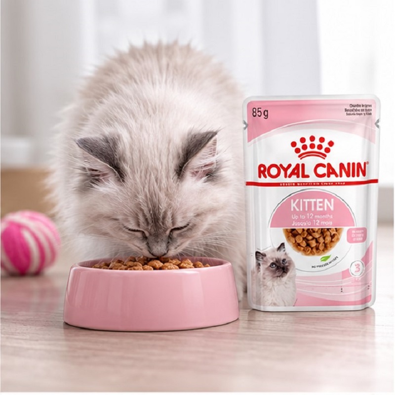 پوچ بچه گربه رویال کنین کیتن 85 گرم Royal Canin Pouch