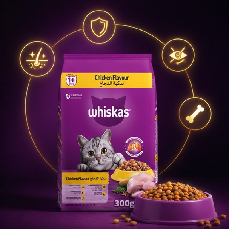 غذای خشک گربه بالغ با طعم مرغ ویسکاس 300 گرم Whiskas Food