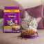 غذای خشک گربه بالغ با طعم مرغ ویسکاس 300 گرم Whiskas Food