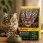 غذای خشک گربه جوسرا نیچرکت 1 کیلوگرم Whiskas Food