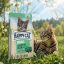 غذای خشک گربه هپی کت مینکاس میکس 1 کیلوگرم Happy Cat Food