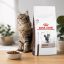 غذای خشک گربه هپاتیک رویال کنین 1 کیلوگرم RoyalCanin Food