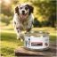 کنسرو ریکاوری سگ و گربه رویال کنین 195 گرم Royal Canin Canned