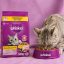 غذا خشک گربه بالغ با طعم مرغ ویسکاس 500 گرم Whiskas Food