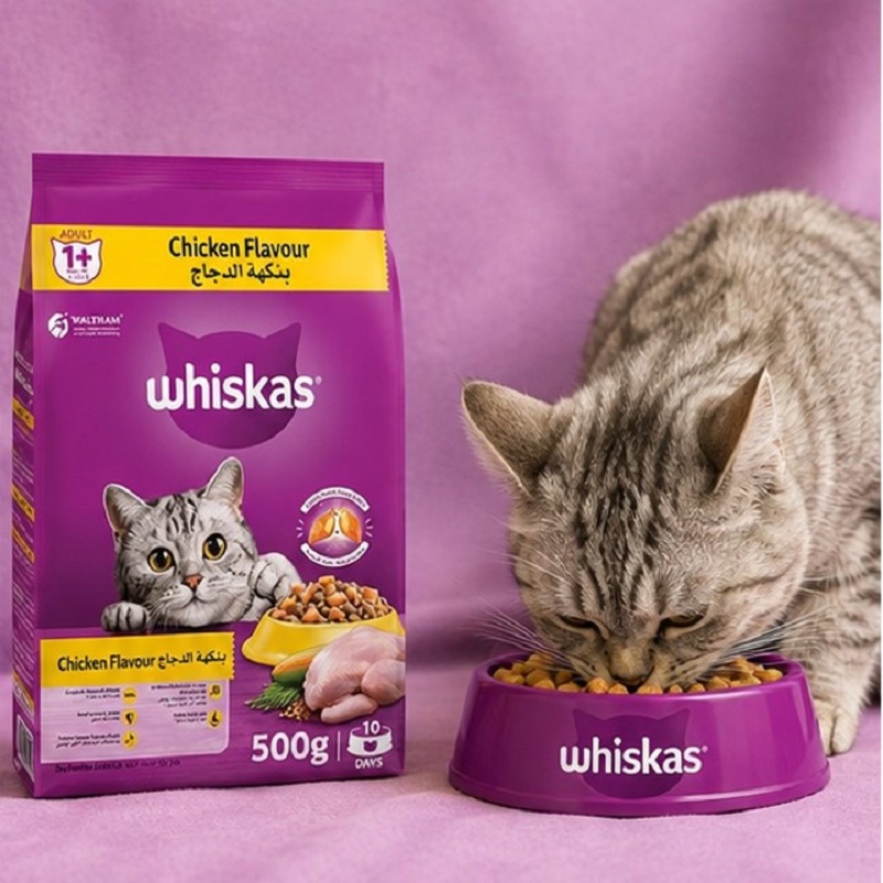 غذا خشک گربه بالغ با طعم مرغ ویسکاس 500 گرم Whiskas Food