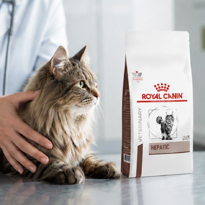 غذای خشک گربه هپاتیک رویال کنین 1 کیلوگرم RoyalCanin Food