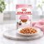 پوچ بچه گربه رویال کنین کیتن 85 گرم Royal Canin Pouch