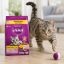 غذا خشک گربه بالغ با طعم مرغ ویسکاس 500 گرم Whiskas Food