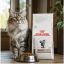 غذای خشک گربه هپاتیک رویال کنین 2 کیلوگرم RoyalCanin Food