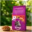 غذای خشک گربه ویسکاس با طعم گوشت 1.4 کیلوگرم Whiskas Food