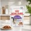 پوچ رویال کنین گربه عقیم شده 85 گرم Royal Canin Pouch