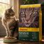 غذای خشک گربه نیچرکت جوسرا 10 کیلوگرم Josera NatureCat