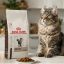 غذای خشک گربه هپاتیک رویال کنین 2 کیلوگرم RoyalCanin Food