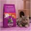 غذای خشک گربه ویسکاس با طعم گوشت 1.4 کیلوگرم Whiskas Food