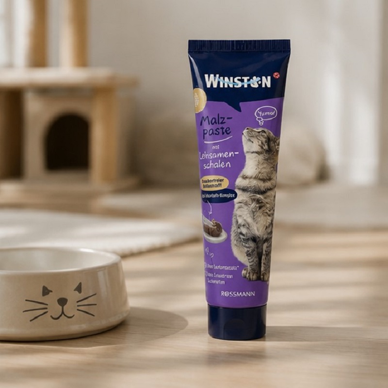 خمیر مالت بهبود عملکرد دستگاه گوارش گربه وینستون 100 گرم Winston Paste