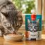 پودینگ گربه ونپی با طعم مرغ و هویج ونپی 90 گرم Wanpy Pudding