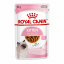 پوچ بچه گربه رویال کنین کیتن 85 گرم Royal Canin Pouch