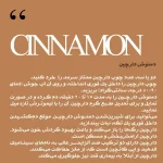 چوب دارچین قلم ممتاز سرمد 400 گرم 2 عددی