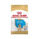 غذای خشک سگ لابرادور رتریور پاپی رویال کنین 3 کیلوگرم Royal Canin Food