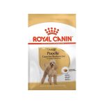 غذای خشک سگ پودل بالغ رویال کنین 1.5 گرم Royal Canin Food