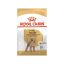 غذای خشک سگ پودل بالغ رویال کنین 1.5 گرم Royal Canin Food