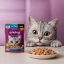 پوچ گربه بالغ با طعم تن ماهی ژله ای ویسکاس 80 گرم Whiskas Pouch