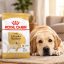 غذای خشک سگ بزرگسال لابرادور رتریور رویال کنین 3 کیلوگرم Royal Canin Food