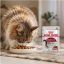 پوچ گربه بالغ خورشتی رویال کنین ۸۵ گرم Royal Canin Pouch