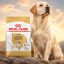 غذای خشک سگ بزرگسال لابرادور رتریور رویال کنین 3 کیلوگرم Royal Canin Food