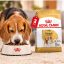 غذای خشک سگ بیگل ادالت رویال کنین 3 کیلوگرم Royal Canin Food