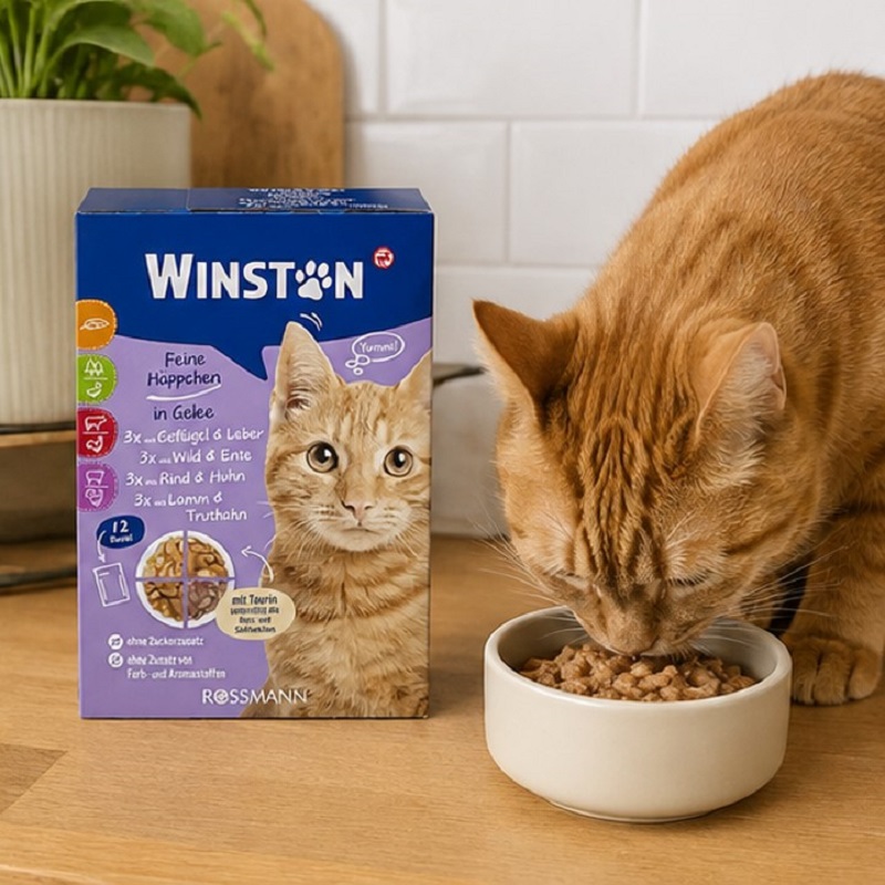 پوچ گربه در طعم های مرغ، جگر، گوشت گاو و بره، اردک وینستون 100 گرم Winston Pouch