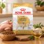 غذای خشک سگ بزرگسال لابرادور رتریور رویال کنین 3 کیلوگرم Royal Canin Food